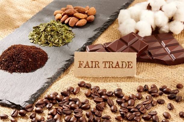 Best Everyday Products to Buy First