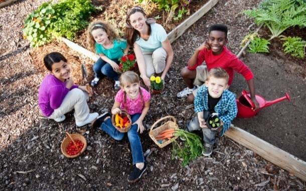 Better-Nutrition-and-Healthier-Habits