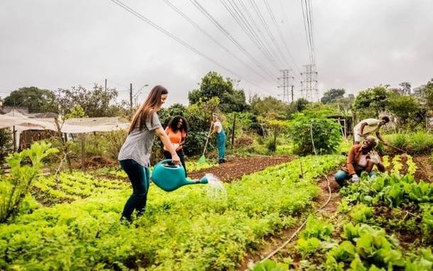 Community-Gardens-Benefits-Why-Shared-Green-Spaces-Matter