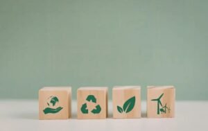 Eco Friendly Habits That Make Green Living Easy