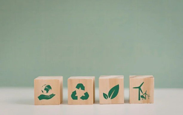 Eco Friendly Habits That Make Green Living Easy