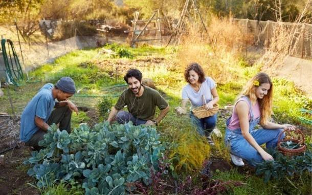 Environmental-Benefits-of-Shared-Green-Spaces