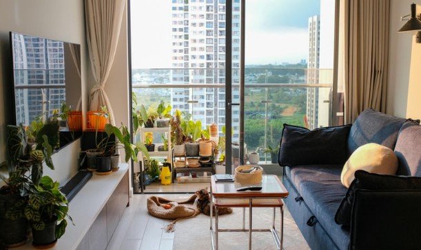 Indoor Gardening Without a Balcony