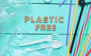 Plastic Free Living - Simple Swaps That Make Daily Life Cleaner