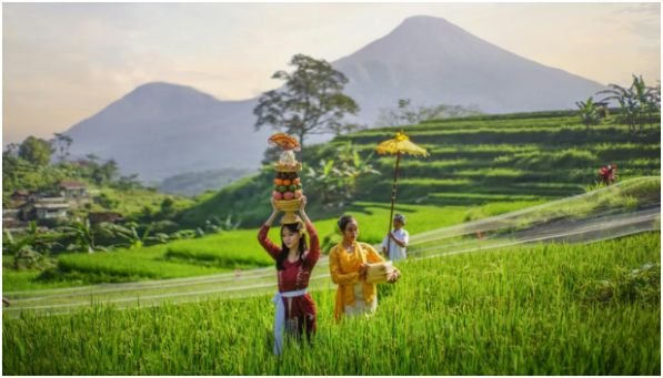 Why Indigenous Intellectual Property Protection Matters